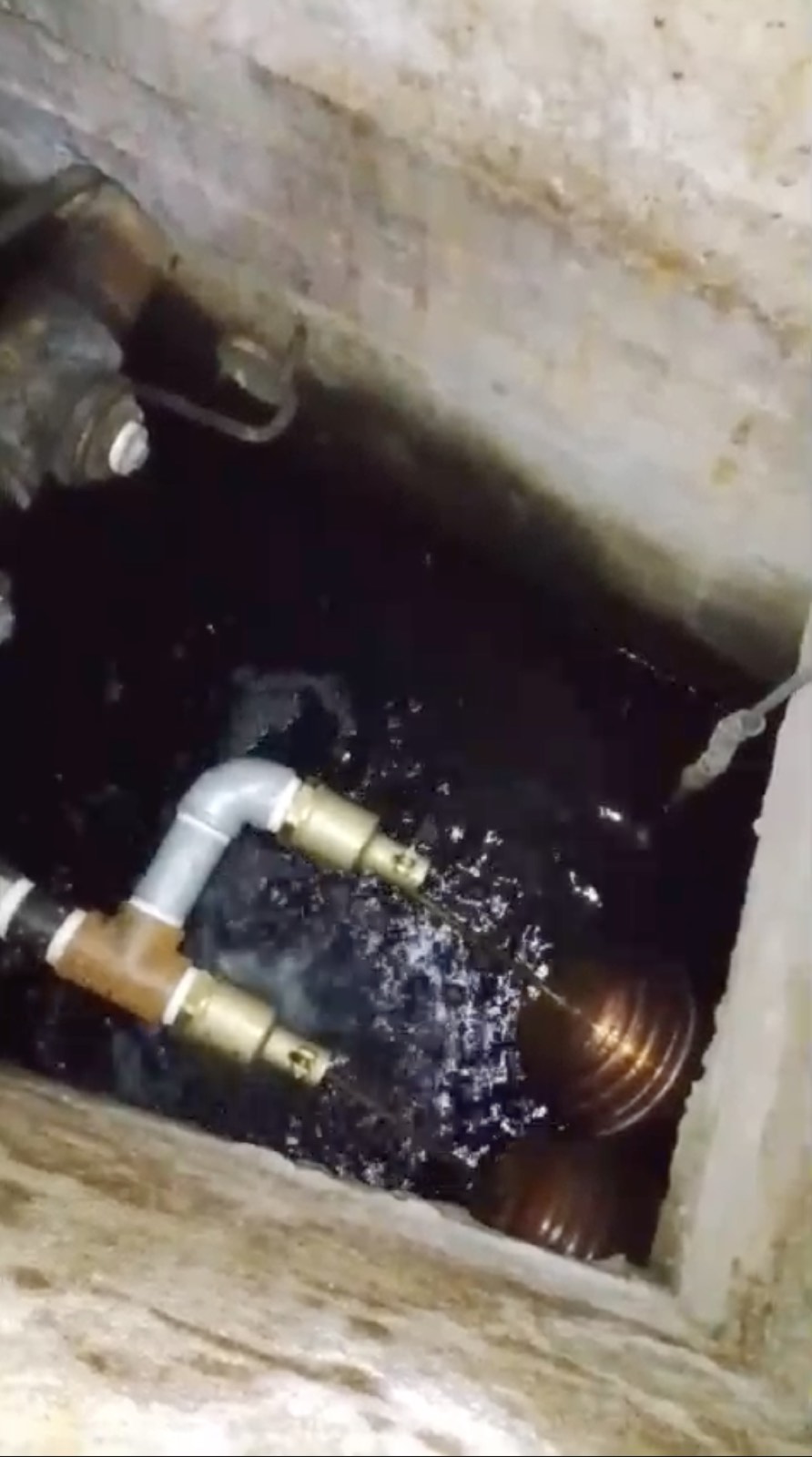Prueba de funcionamiento en sitio