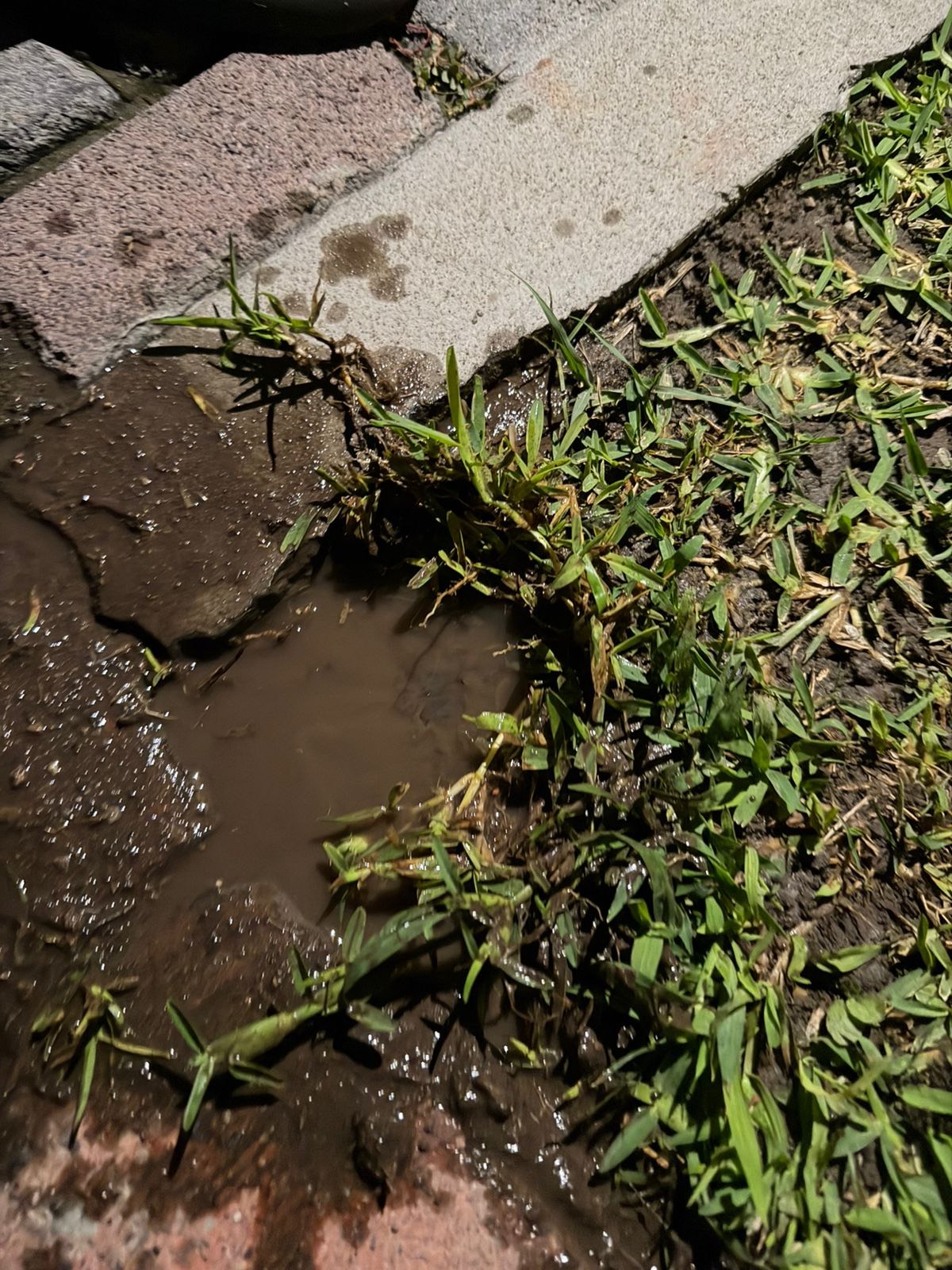 Encharcamiento en área verde por fuga